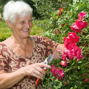 Jean Baptiste Alphonse Karr